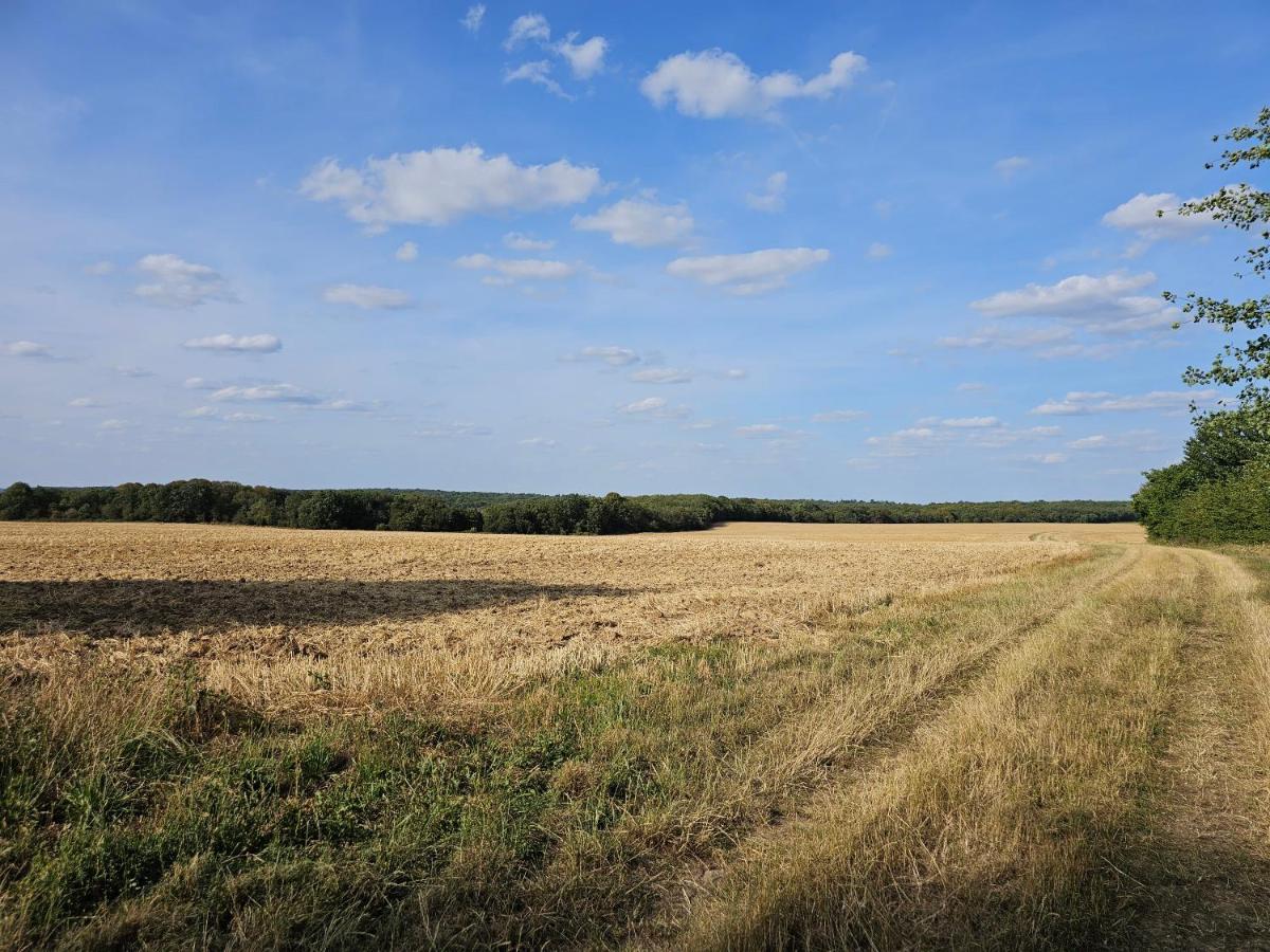 Вілла La Cle Des Champs Videlles Екстер'єр фото